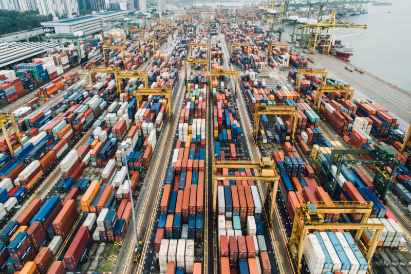 What makes supply chains vulnerable to disruption?